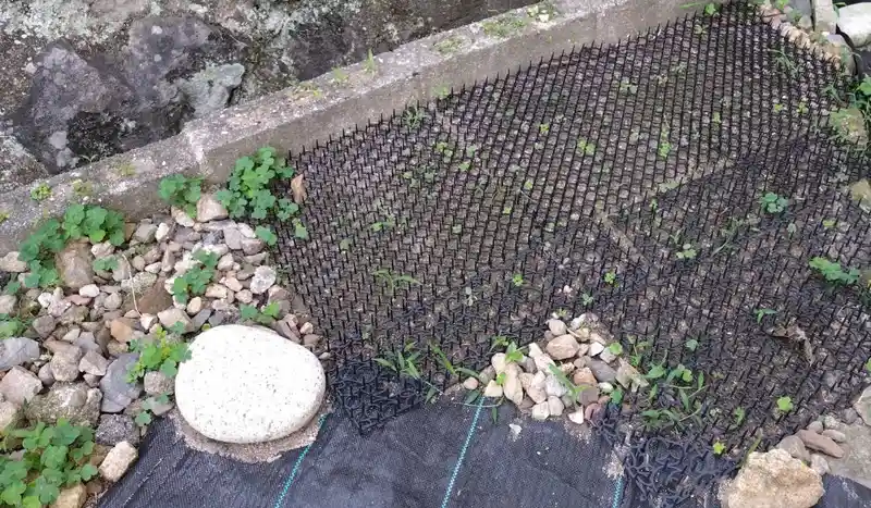 庭に猫除けトゲマットを設置した様子
